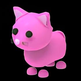 Pink Cat