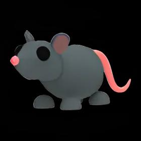 Rat